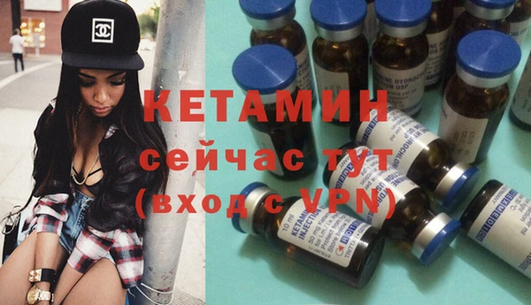 шишки Лабытнанги