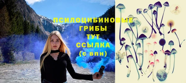 крисы Алексин