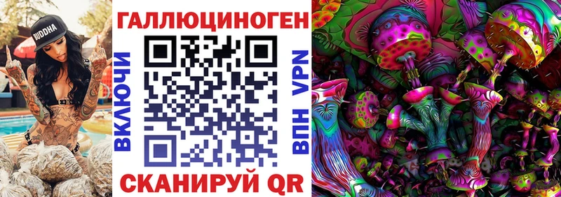 купить   Жуковский  Псилоцибиновые грибы GOLDEN TEACHER 